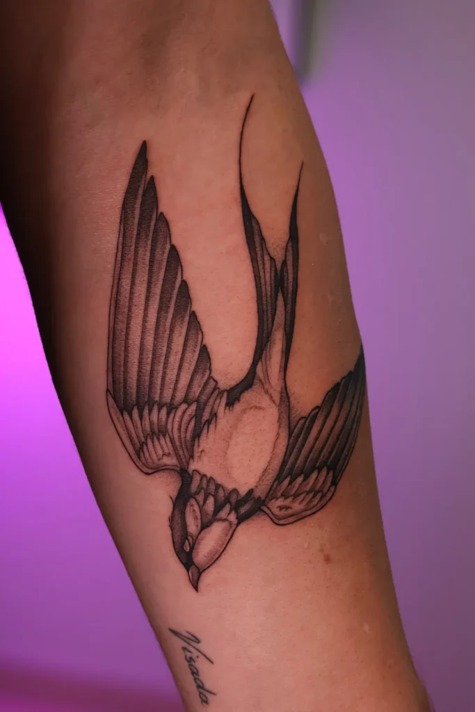 Kregždutės tatuiruotė